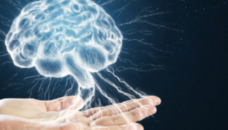 Pasożyty żyją nie tylko w jelitach, ale mogą się przedostać nawet do mózgu.