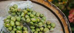 zielony owoc minikiwi pochodzi z Azji