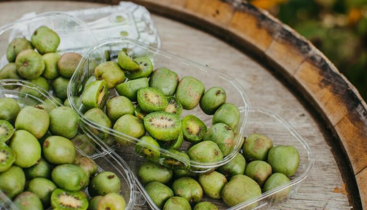 zielony owoc minikiwi pochodzi z Azji