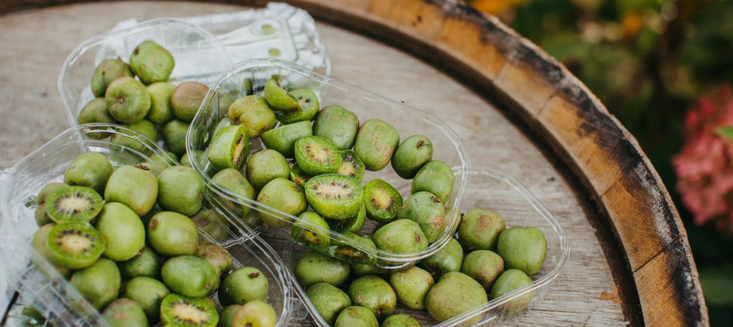 zielony owoc minikiwi pochodzi z Azji