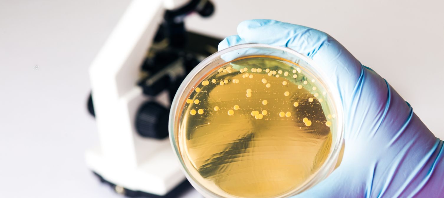 Wpływ pory dnia na mikrobiom