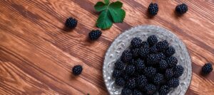 Aronia opóźnia proces starzenia