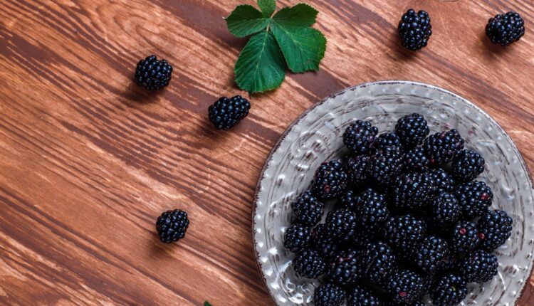 Aronia opóźnia proces starzenia