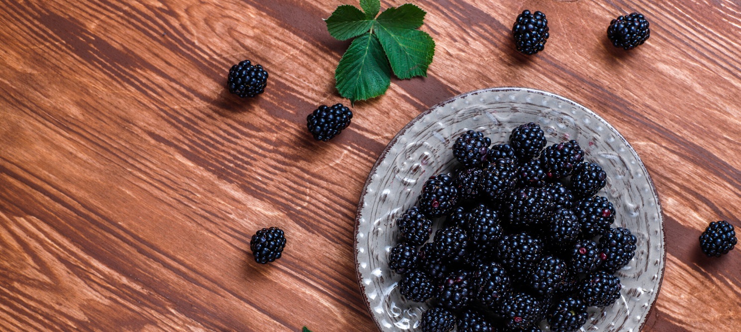 Aronia opóźnia proces starzenia
