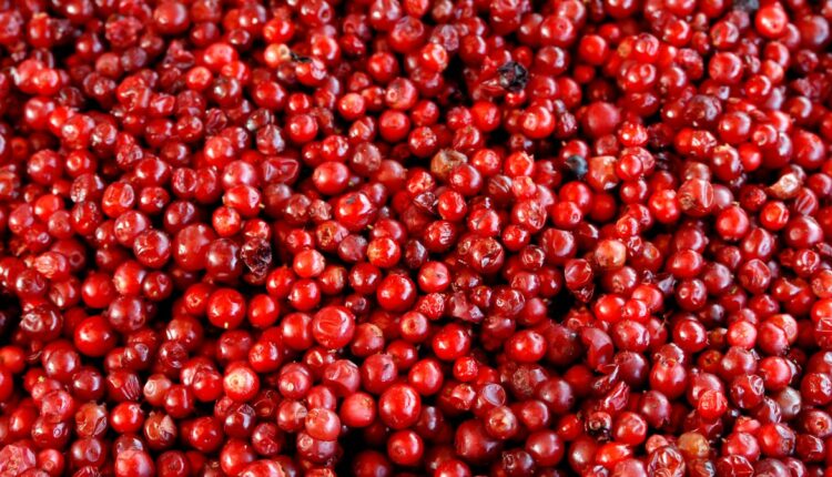 Borówka a wrzody żołądka