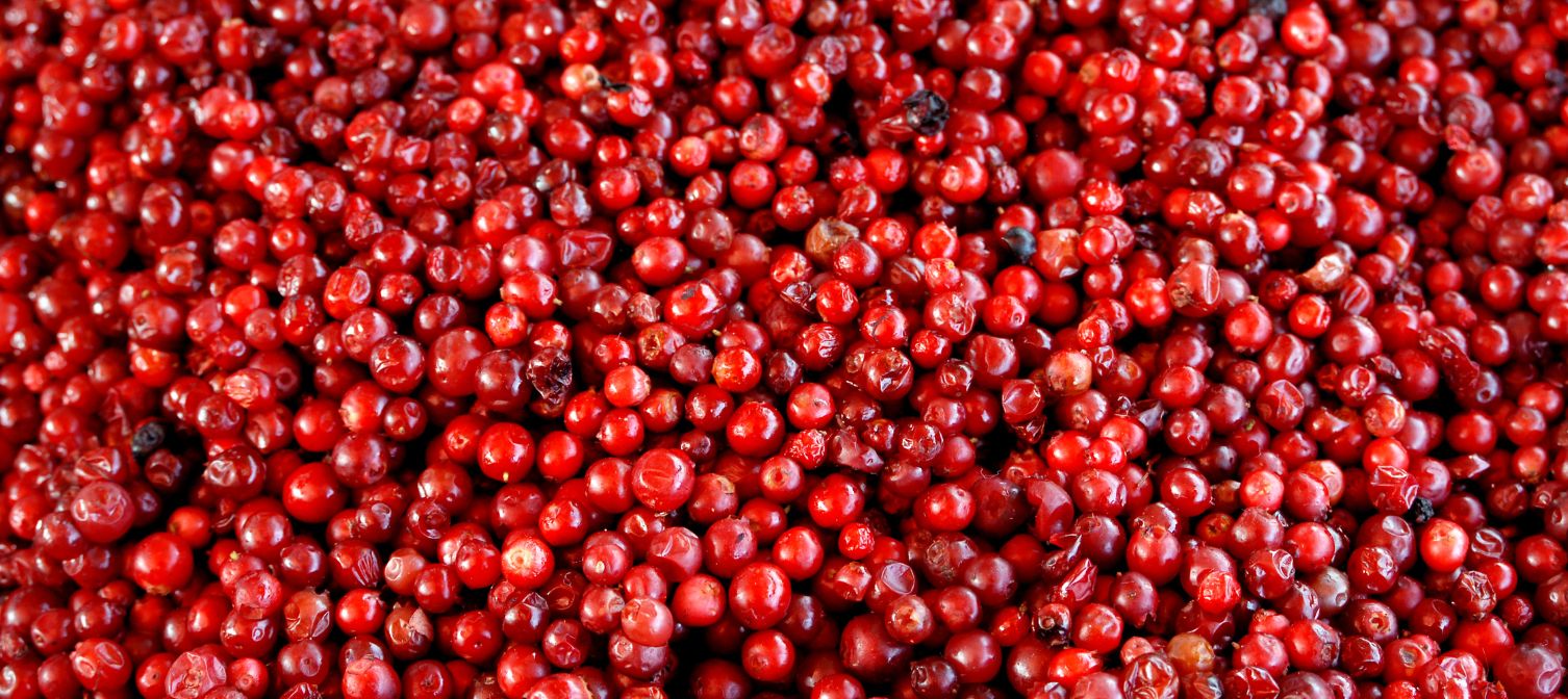 Borówka a wrzody żołądka