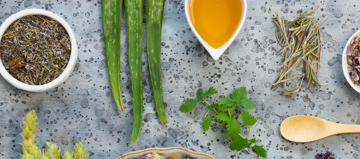 Zioła na odporność