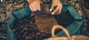 Olej arganowy i jego właściwości