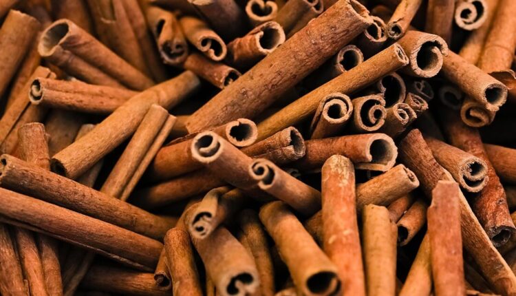 Cynamon działa bakteriobójczo
