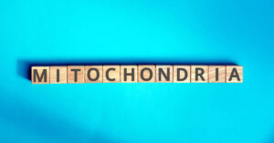 Jak funkcjonowanie mitochondriów wpływa na przebieg choroby Hashimoto