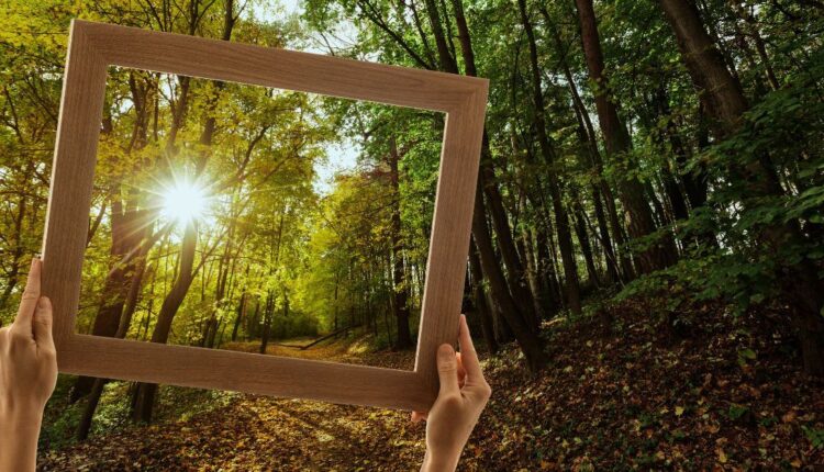 II edycja prestiżowego konkursu dedykowanego profesjonalnym produktom z zakresu medycyny naturalnej, holistycznej i zdrowego stylu życia