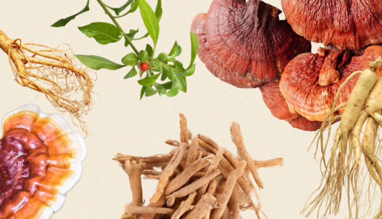 Jak rośliny adaptogenne mogą wspomóc dobre samopoczucie i zdrowie na wiosnę