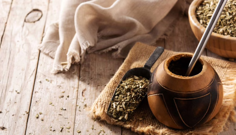 działanie yerba mate