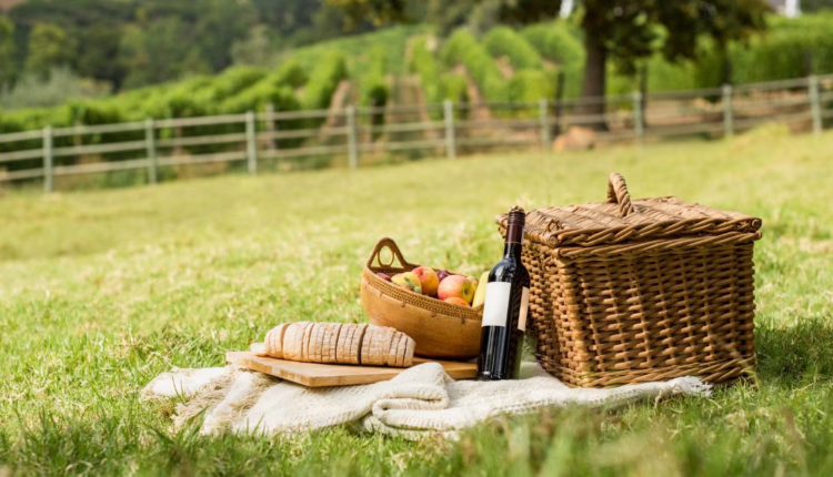Zdrowy piknik na świeżym powietrzu