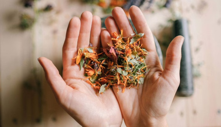 Jak zioła mogą wspomóc gojenie się ran?