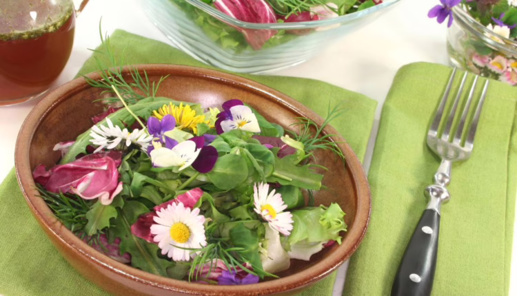 Jak wykorzystać dzikie zioła w kuchni