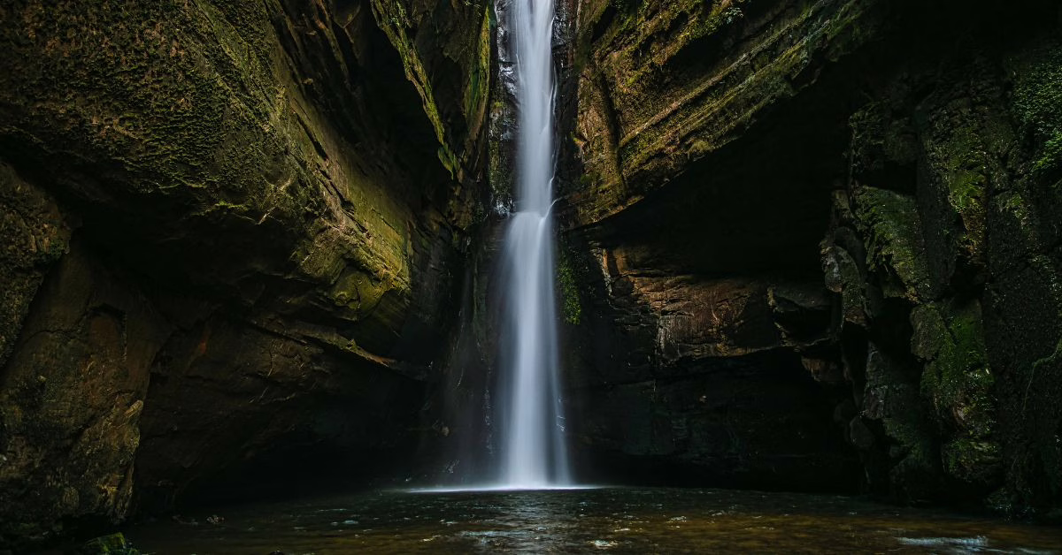 Prawoda - psychobiologia