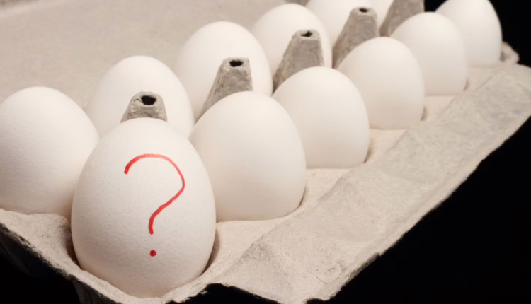 jak pozbyć się salmonelli z organizmu