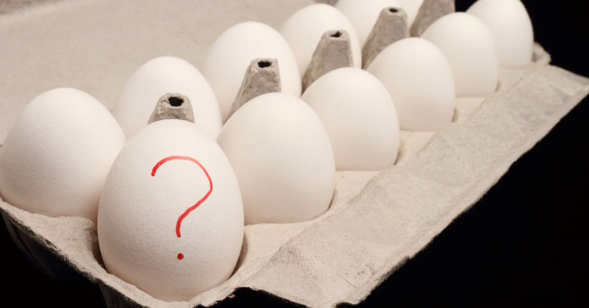 jak pozbyć się salmonelli z organizmu