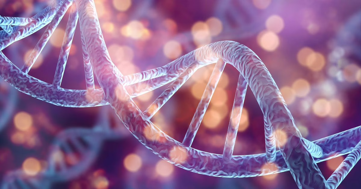 komórki macierzyste antyaging