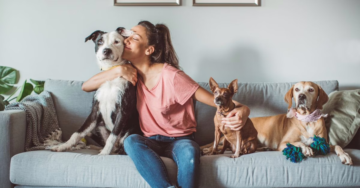 holistyczne zdrowie psa i kota