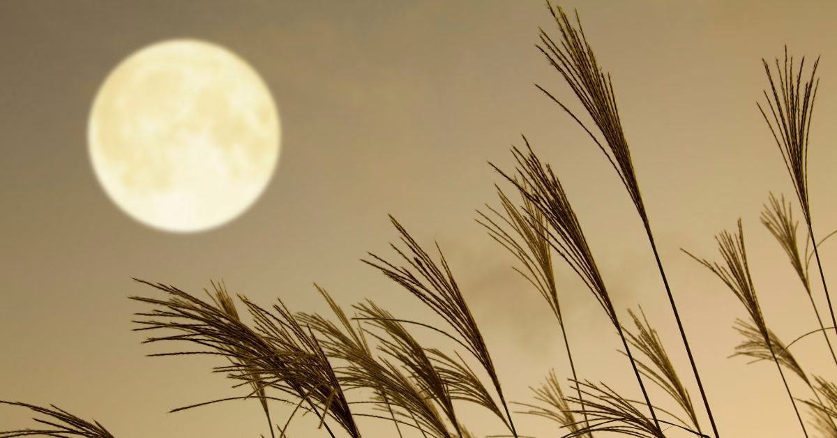 kiedy obcinać włosy kalendarz księżycowy