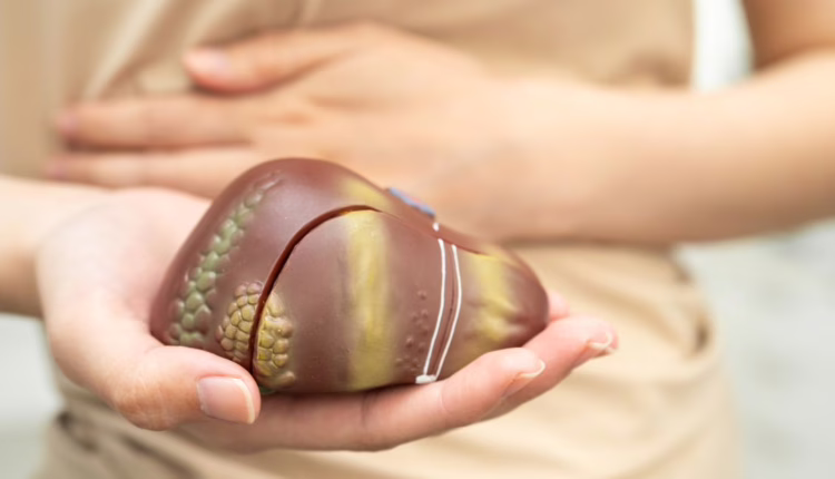 jakie zioła pić na wątrobę