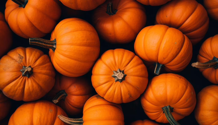 właściwości zdrowotne dyni