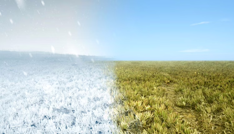 ciepłe i chłodne zioła - równowaga organizmu