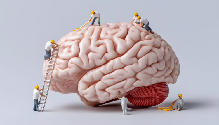 naturalne neuroprotekcyjne zioła